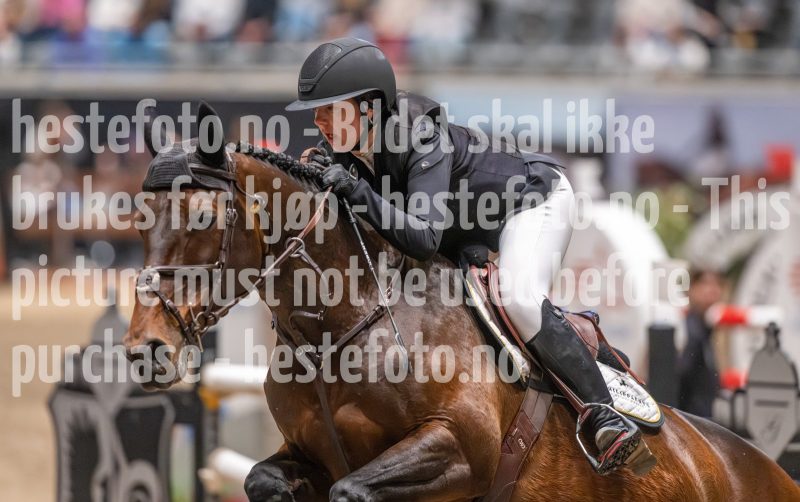 20241020-121632-2024-10-20-12-16-33-52-NIKON-Z-9