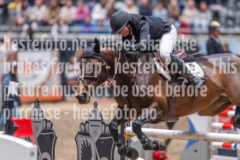 20241020-121652-2024-10-20-12-16-53-93-NIKON-Z-9