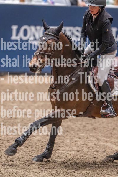 20241020-121703-2024-10-20-12-17-04-86-NIKON-Z-9