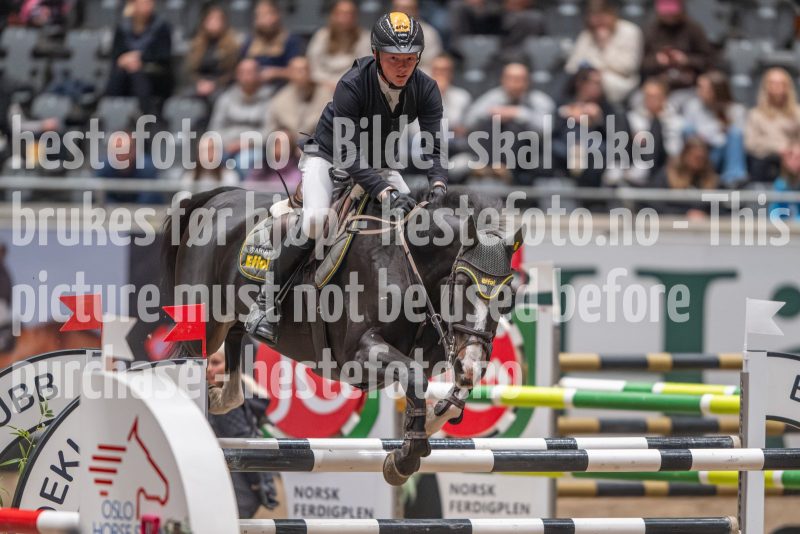 20241020-121814-2024-10-20-12-18-14-06-NIKON-Z-9