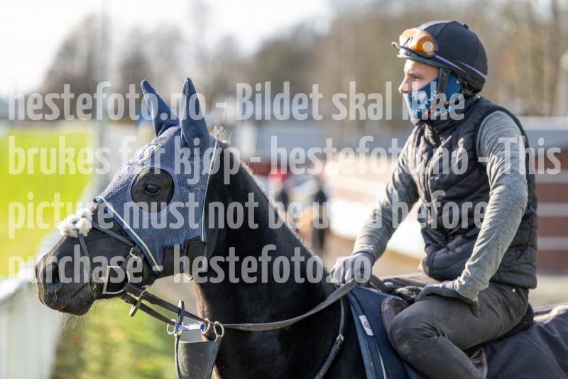 20241102-124021-DSC_5092
