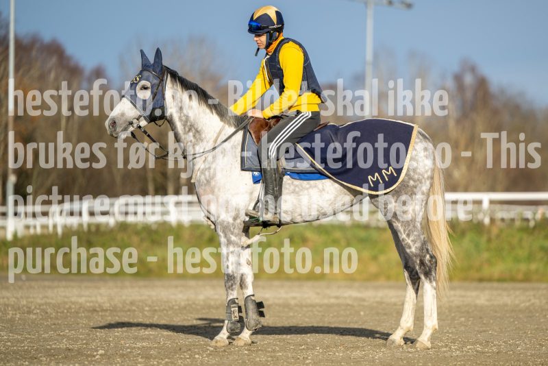 20241102-130450-DSC_5856