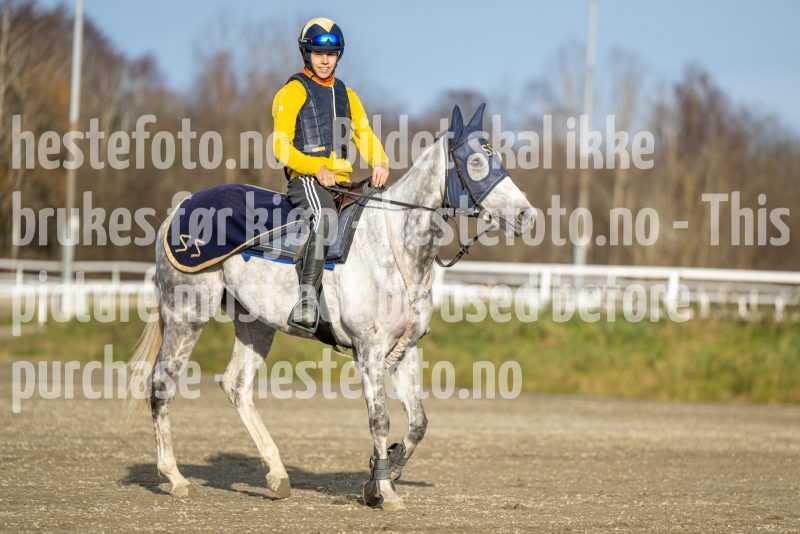 20241102-130529-DSC_5917