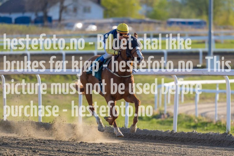 20220505-191020-DSC3882