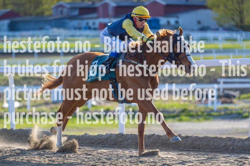 20220505-191022-DSC3885