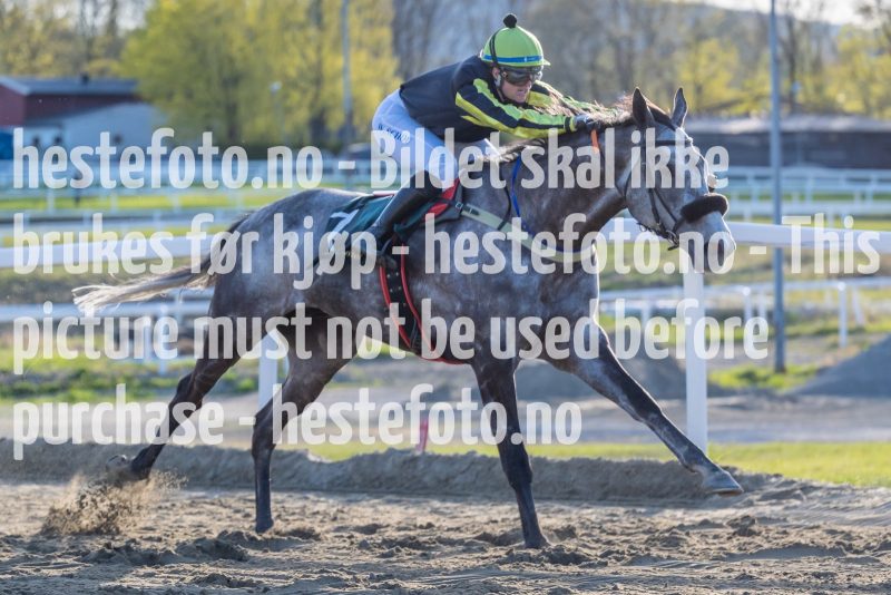 20220505-191029-DSC3908