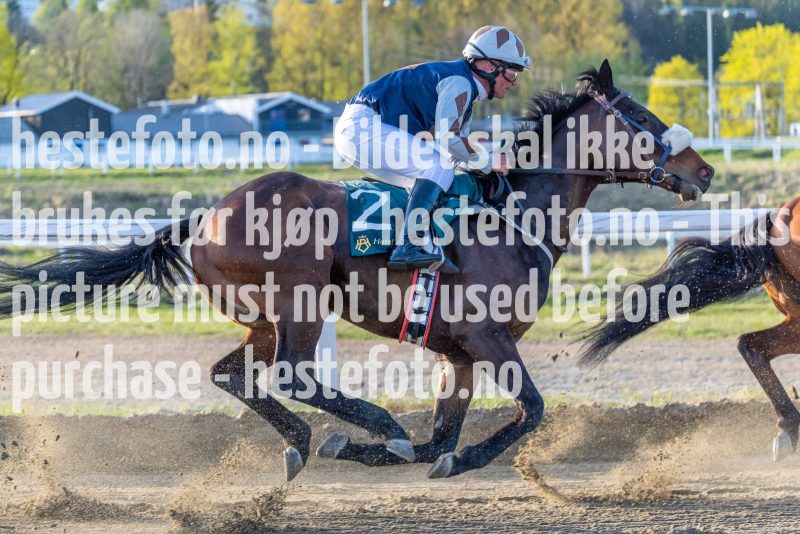 20220505-193320-DSC3936