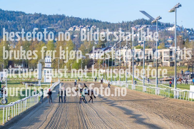 20220505-201710-DSC3998