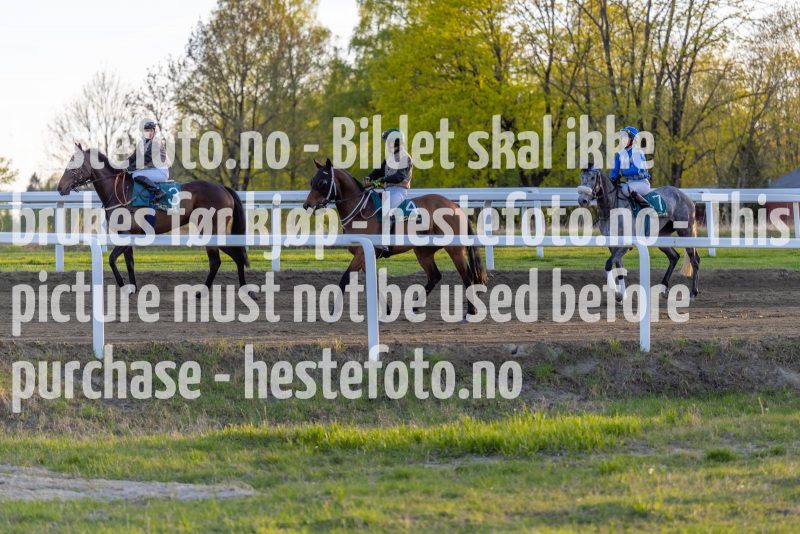 20220505-201937-DSC4089