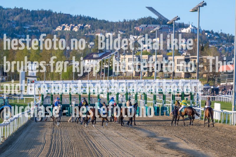 20220505-202202-DSC4111