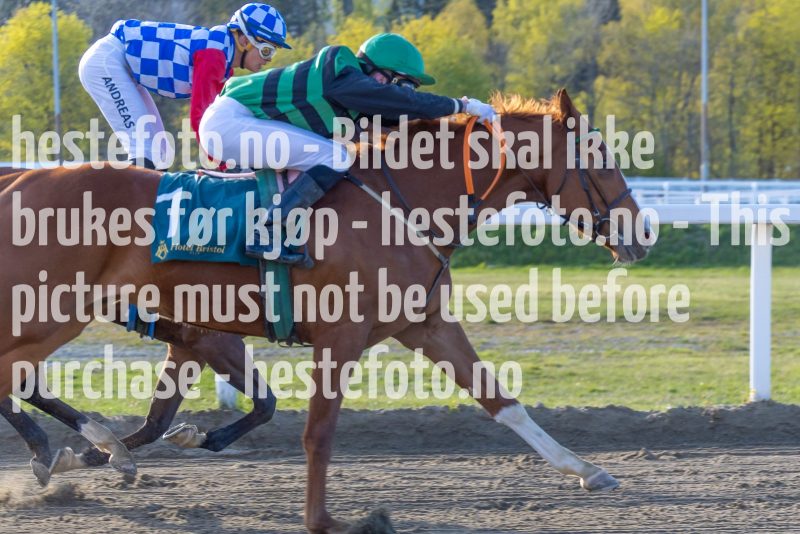 20220505-184515-DSC3778