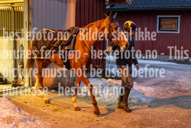 20250208-090311-DSC_6985