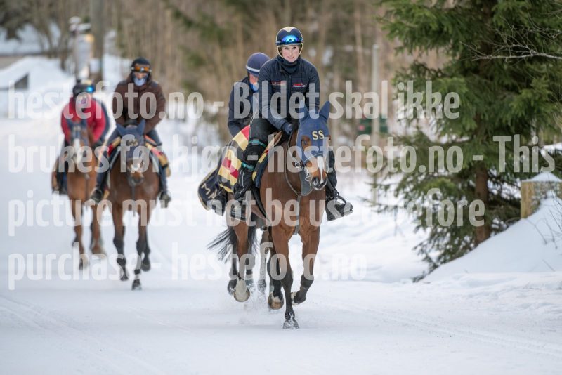 20250215-092135-DSC_8365