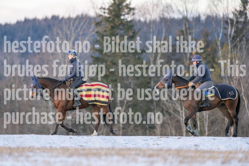 20250215-093841-DSC_8746