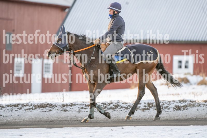 20250215-093921-DSC_8891