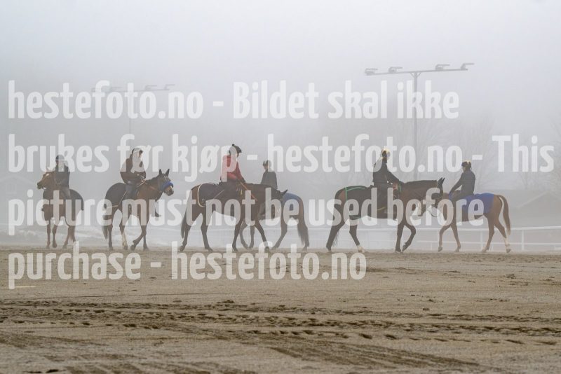 20250301-120515-DSC_0151