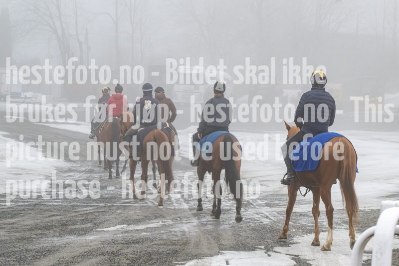 20250301-120824-DSC_0332