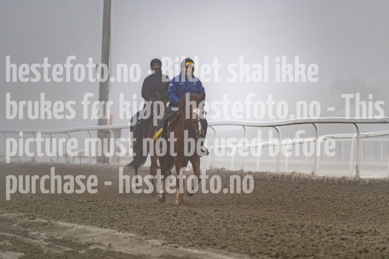 20250301-115006-DSC_9296