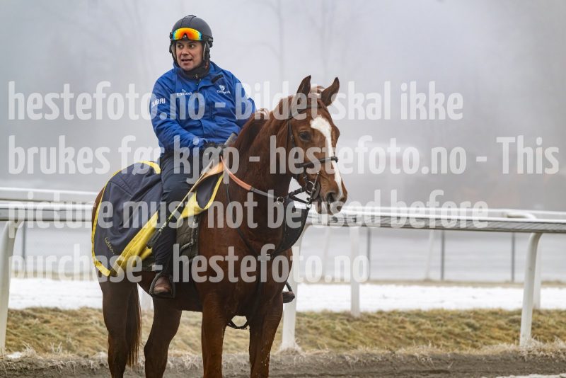 20250301-115632-DSC_9577