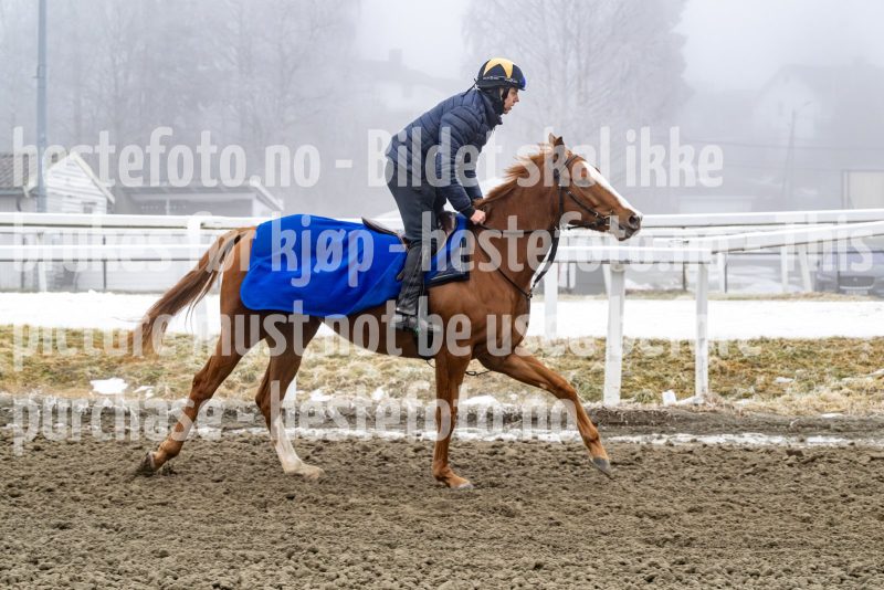 20250301-115713-DSC_9684