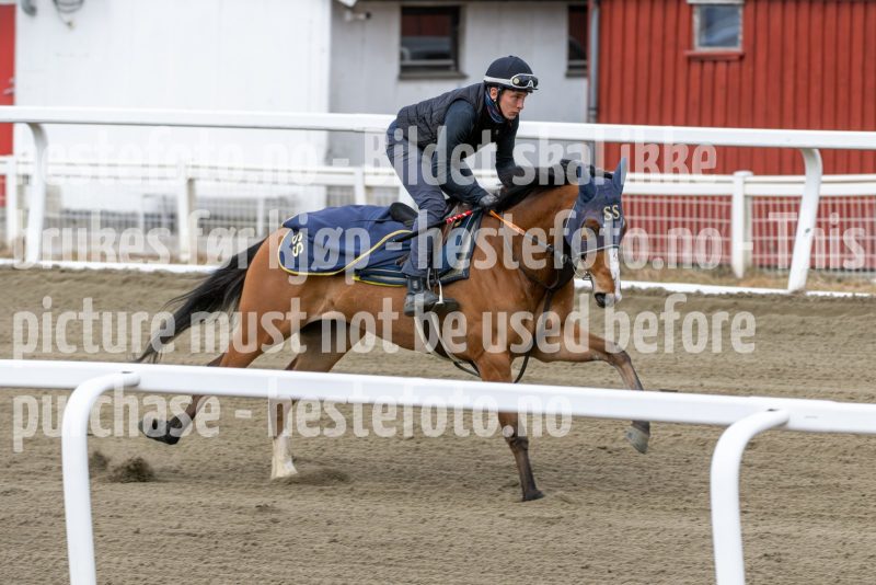 20250329-103022-DSC_7440