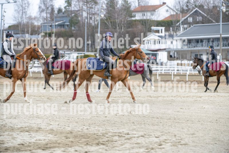 20250329-104003-DSC_8131