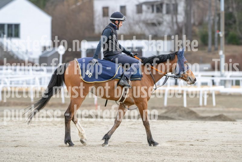 20250329-104013-DSC_8162