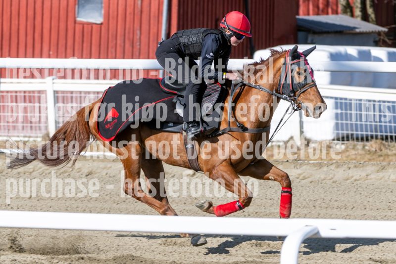 20250329-112605-DSC_8599
