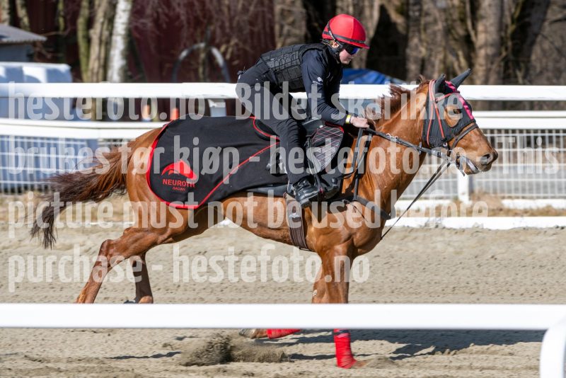20250329-112605-DSC_8605