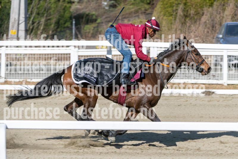 20250329-113133-DSC_8793
