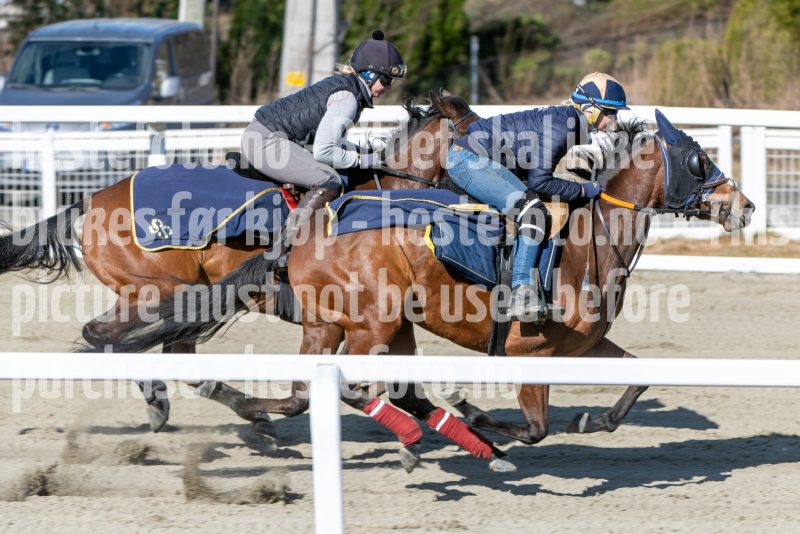 20250329-114124-DSC_9059