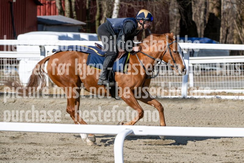 20250329-114403-DSC_9249