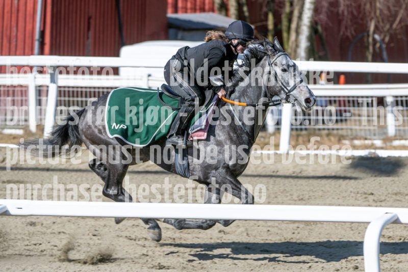 20250329-115523-DSC_9715
