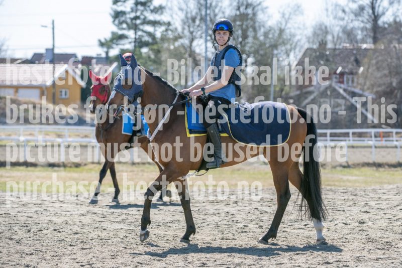 20250412-130319-DSC_0829