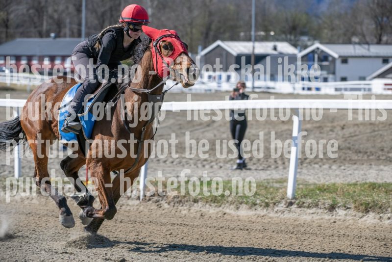 20250412-132322-DSC_1103