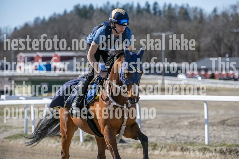 20250412-132605-DSC_1147