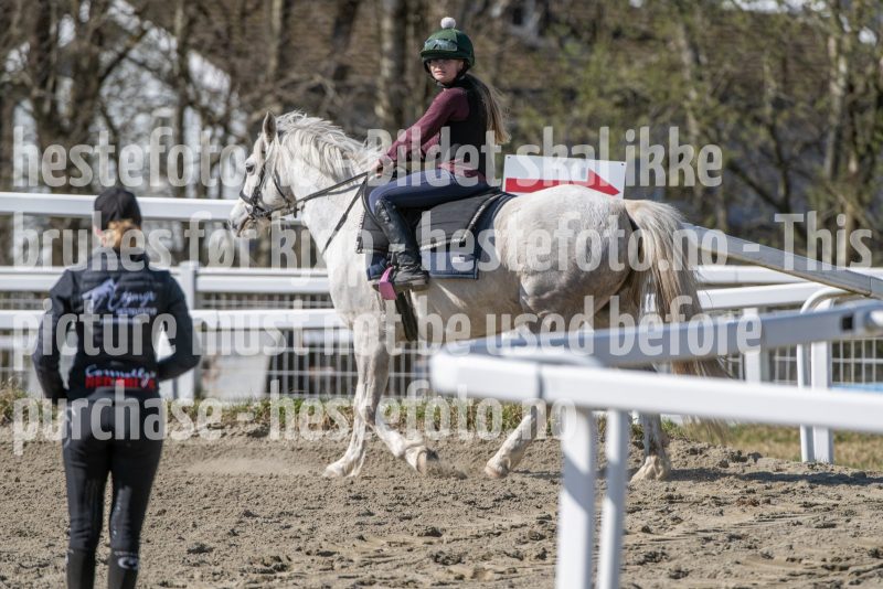 20250412-134428-DSC_1389