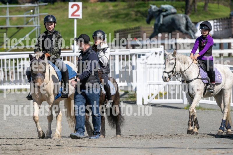 20250426-131634-DSC_9975