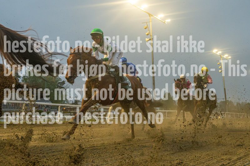 20250501-202914-DSC_7727