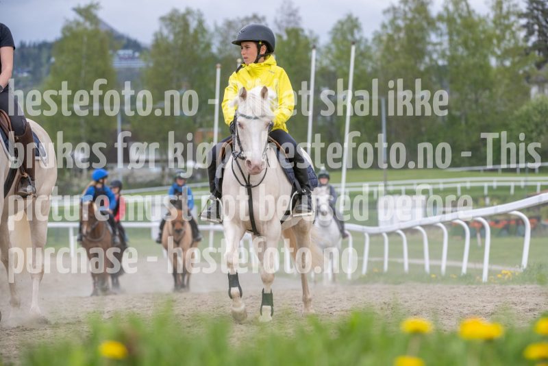 20250503-132613-DSC_2570