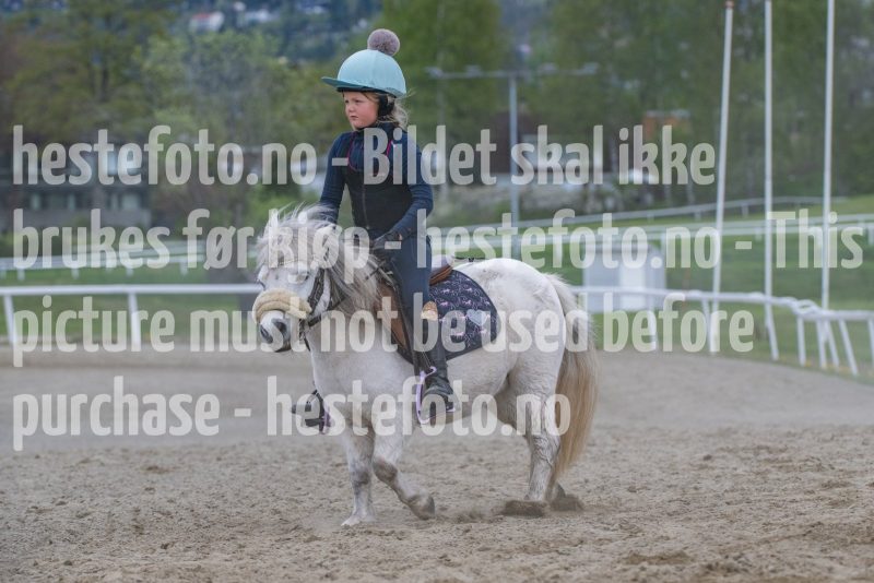 20250503-133010-DSC_2795