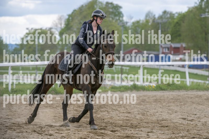 20250503-133545-DSC_3103