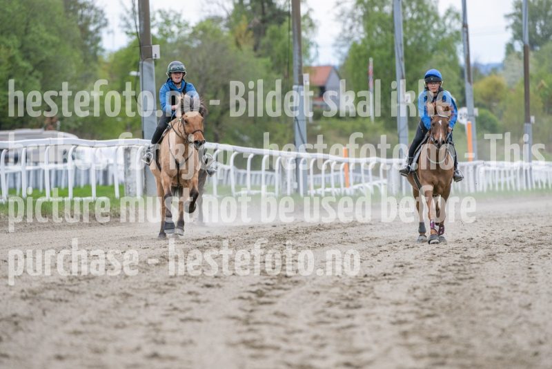 20250503-140135-DSC_4297