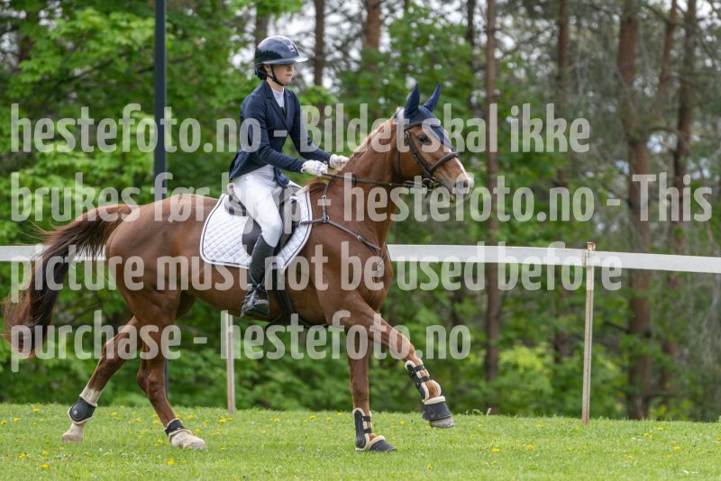 20250511-123335-294-DSC_3847