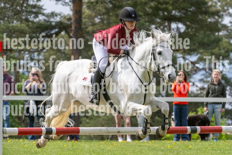 20250511-131132-295-DSC_8263