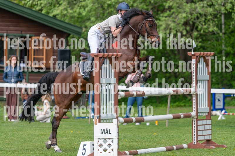 20250511-142848-z6-DSC_0634