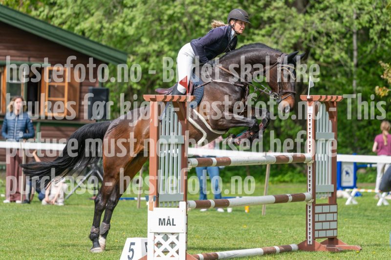 20250511-143118-z6-DSC_0641