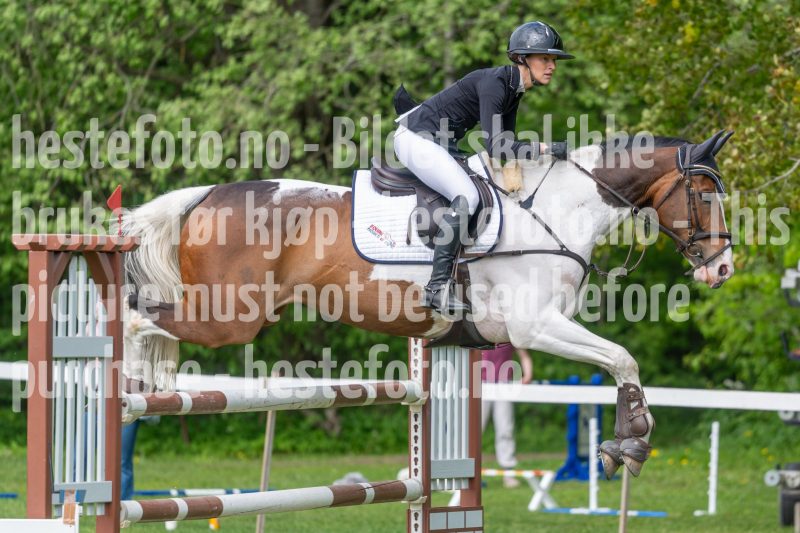 20250511-143352-z6-DSC_0648