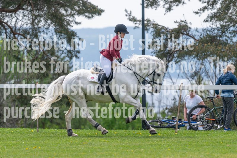 20250511-131214-z6-DSC_0214