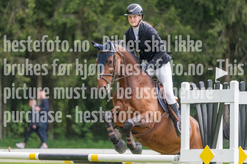 20250511-133334-z6-DSC_0365